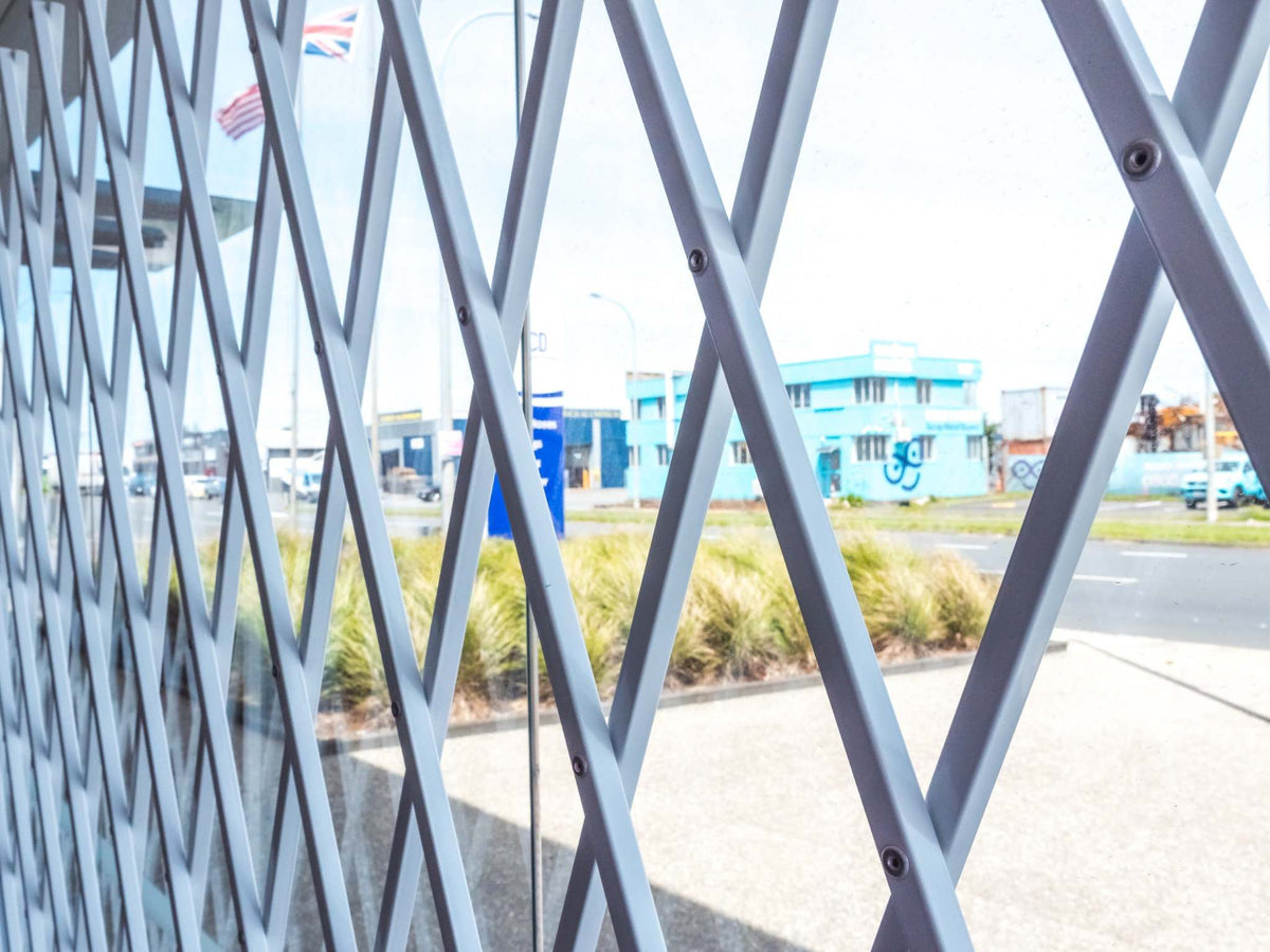Saftidor retractable security grille installed on residential doorway