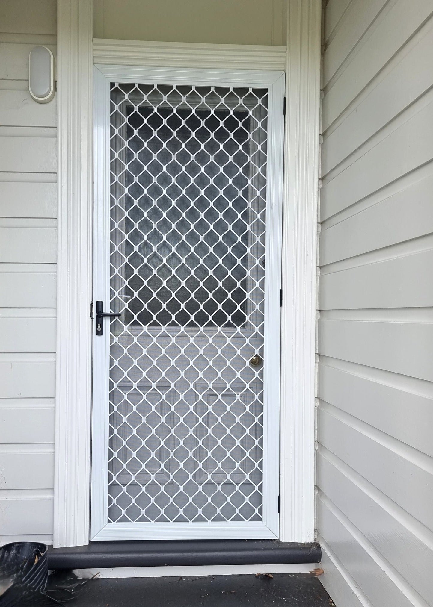 Amplimesh security screen installed on residential doorway