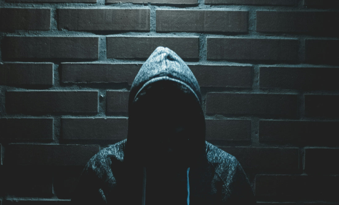 Beyond CCTV and Alarms: 5 Physical Security Ideas to Help Prevent Burglary in NZ Homes