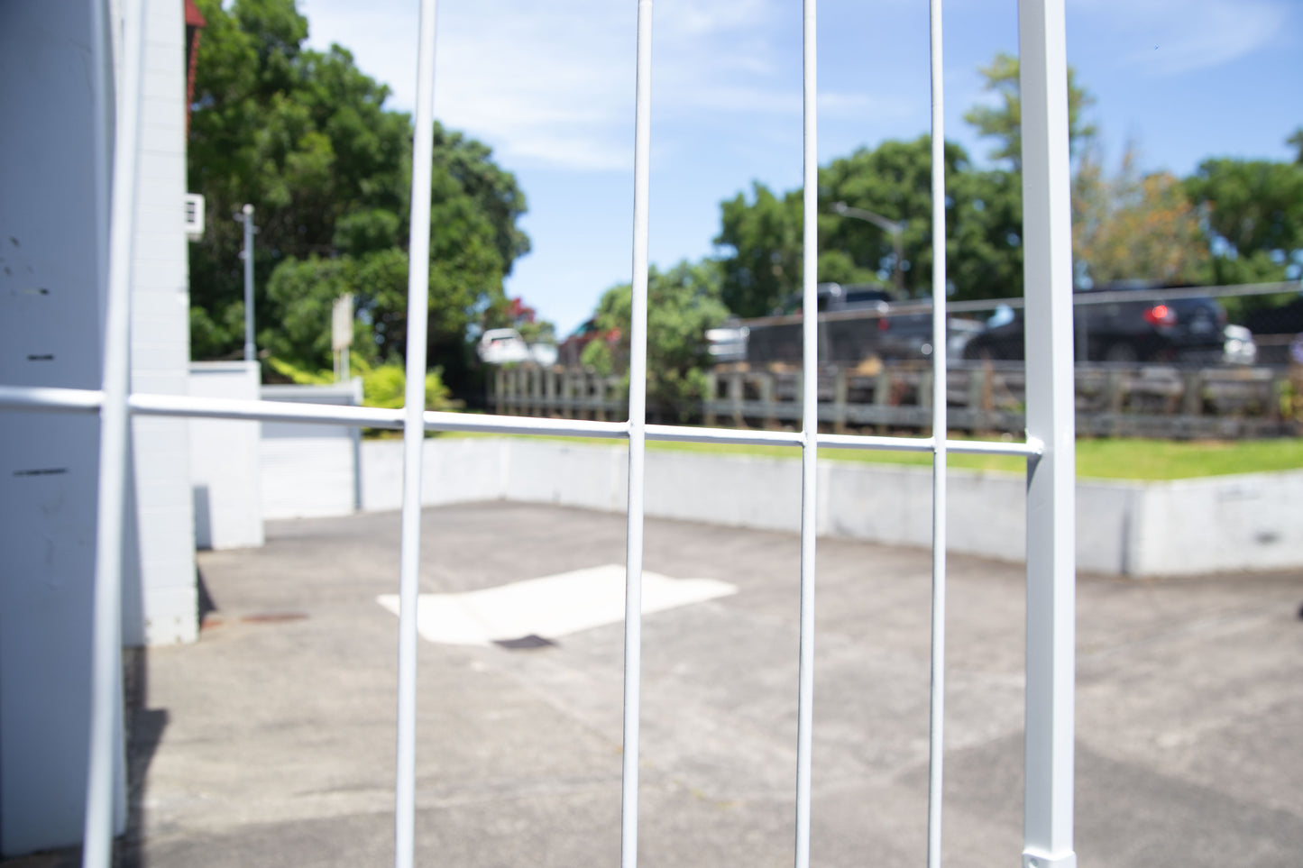 Valor Steel Security Gate 770mm wide x 1950mm High (Ref 34)