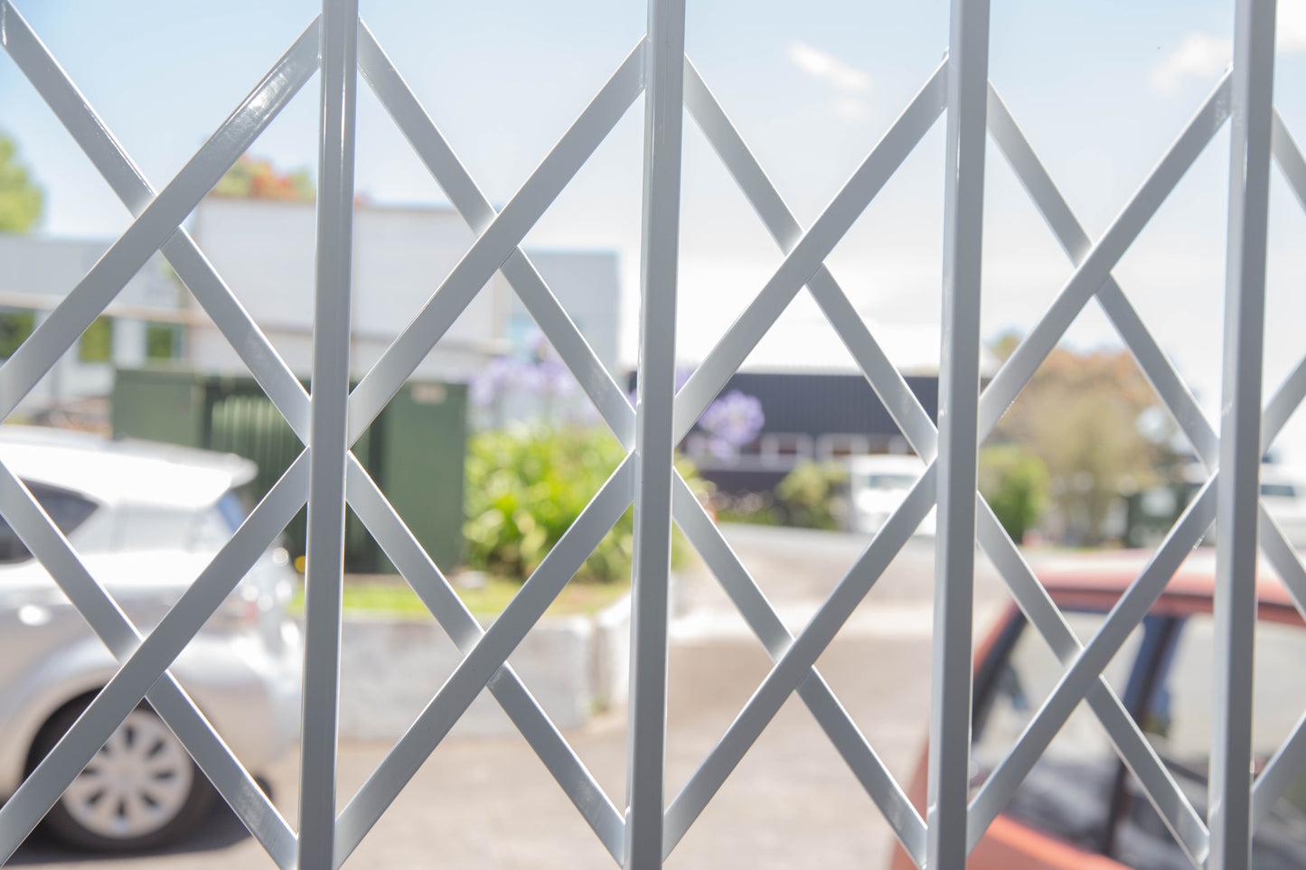 Trellis Style Steel Security Gate 770mm Wide x 1950mm High