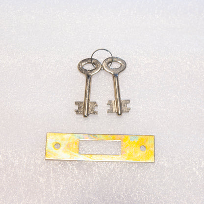 Trellis Style Steel Security Gate 770mm Wide x 1950mm High