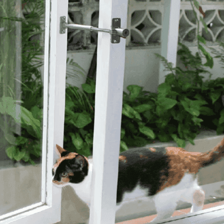 Pet Door Window Latch Lock B PetLatch® (175–230mm) - Residential, Window Latch, Windows - DIY XPANDA