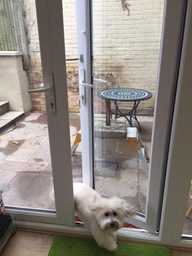 Pet Door Window Latch Lock A LockLatch® (90–175mm) - Residential, Window Latch, Windows - DIY XPANDA