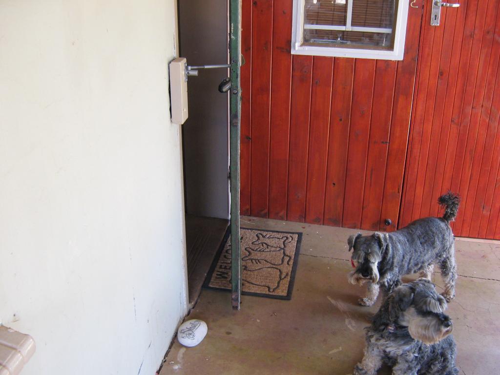 Pet Door Window Latch Lock A LockLatch® (90–175mm) - Residential, Window Latch, Windows - DIY XPANDA