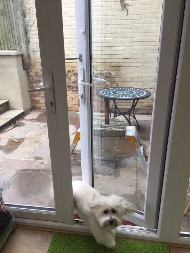 Pet Door Window Latch Lock A LockLatch® (90–175mm) - Residential, Window Latch, Windows - DIY XPANDA