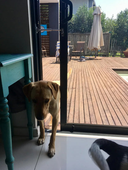 Pet Door Window Latch Lock A LockLatch® (90–175mm) - Residential, Window Latch, Windows - DIY XPANDA