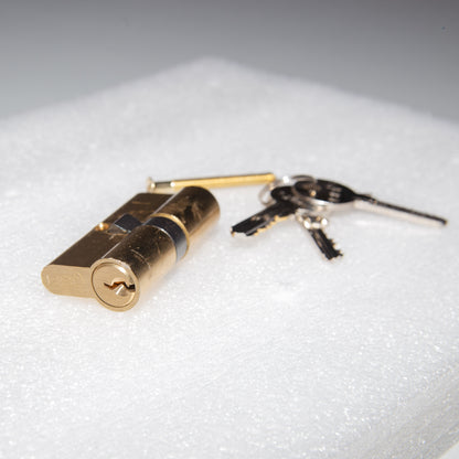 Renaissance Steel Security Gate 910mm Wide x 2000mm High