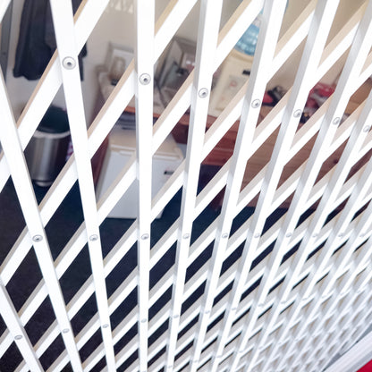 Saftidor Retractable Security Gate 1000mm Wide x 2080mm High (B)