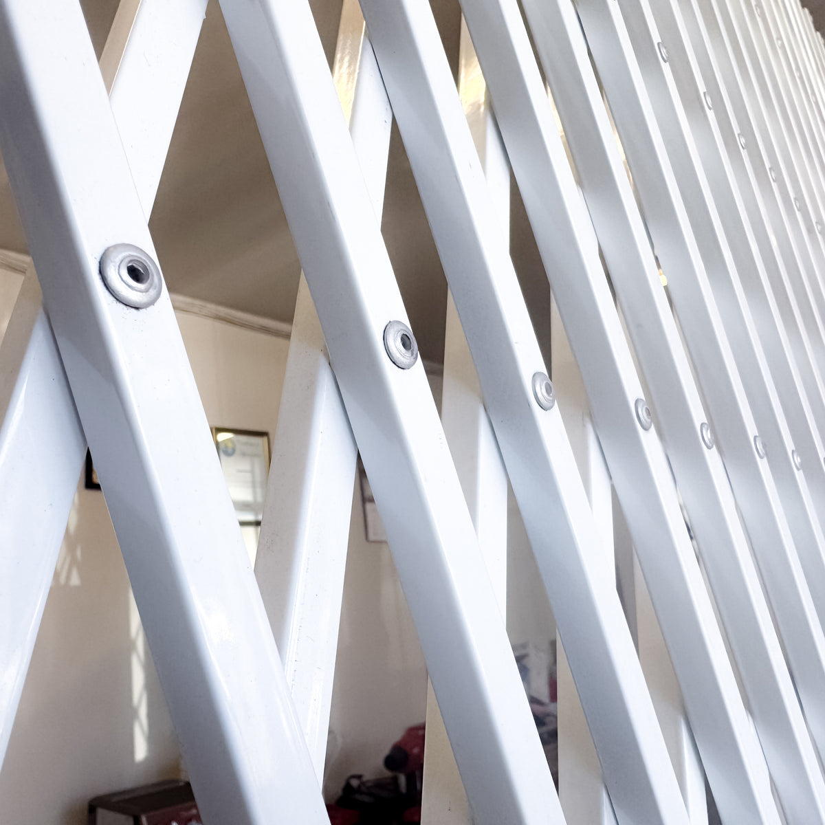 Saftidor Retractable Security Gate 1000mm Wide x 2080mm High (B)