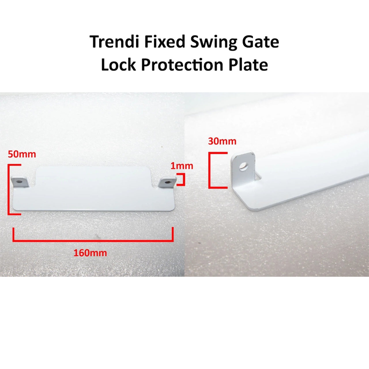 Trendi Steel Security Gate 840mm Wide x 1950mm High Lock Protection Plate